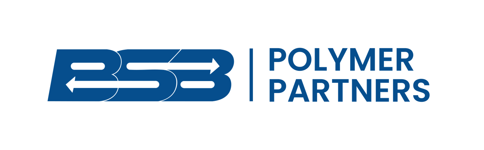 BSB Polymer Partner